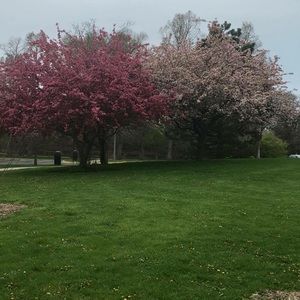 Meet your Posher, Ruba